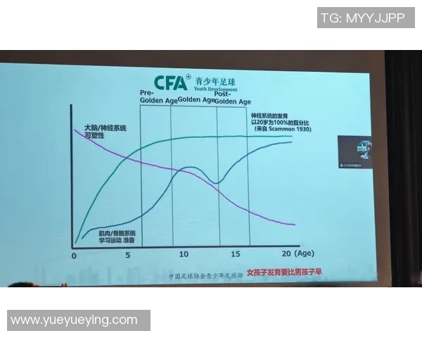 体育数据模型报告发布