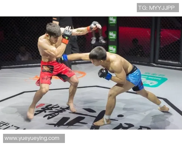 MMA格斗之夜精彩KO瞬间集锦震撼回顾力量与技巧的完美碰撞